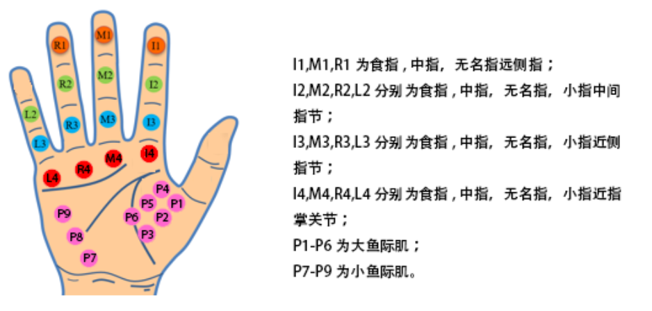 SPI 压力分布